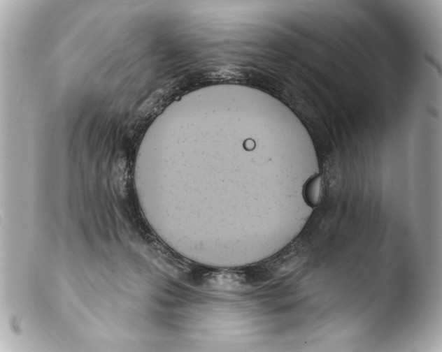X0000103470223200810100943