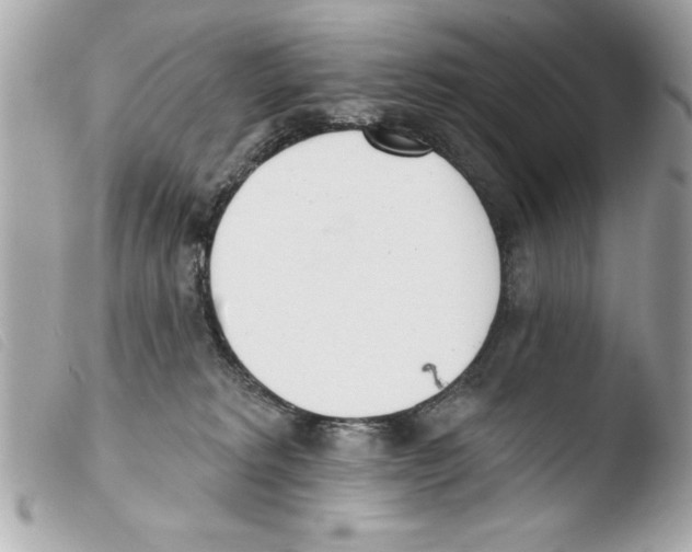 X0000103470229200810100943