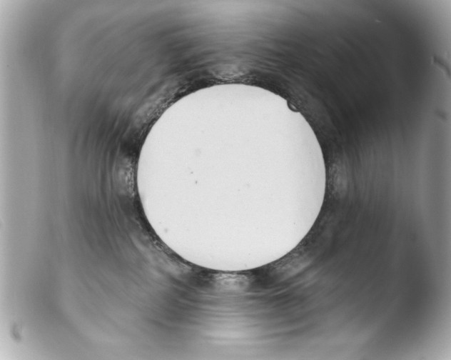 X0000103470234200810100943
