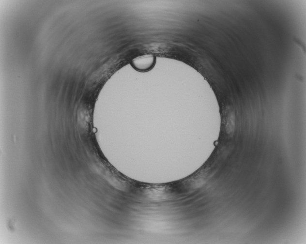 X0000103470235200810100942
