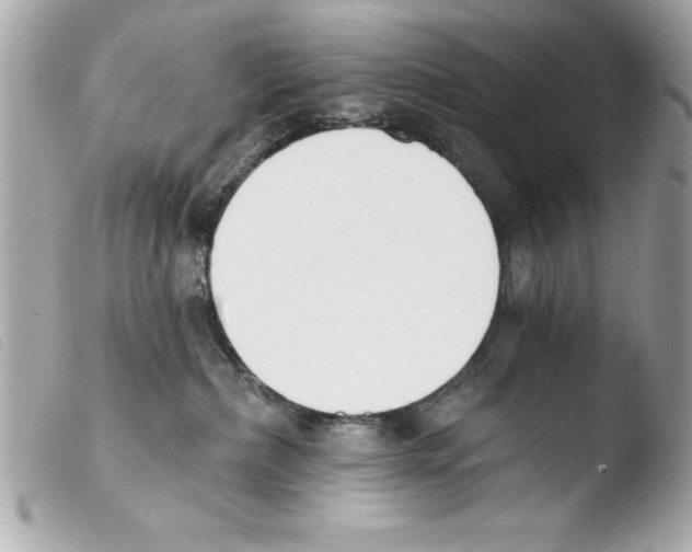 X0000103470236200810100942