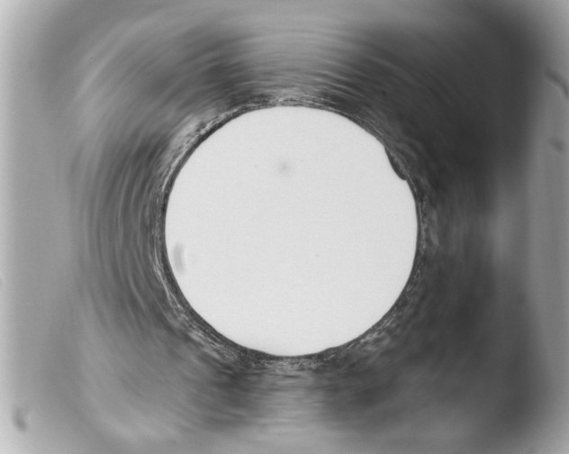 X0000103470241200810100942