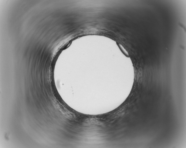 X0000103470244200810100942