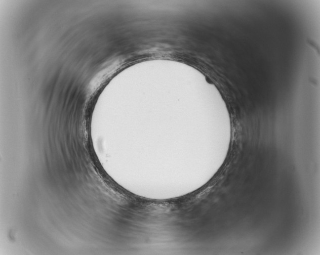 X0000103470245200810100942