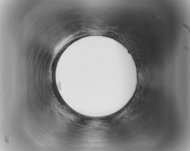 X0000103470246200810100942