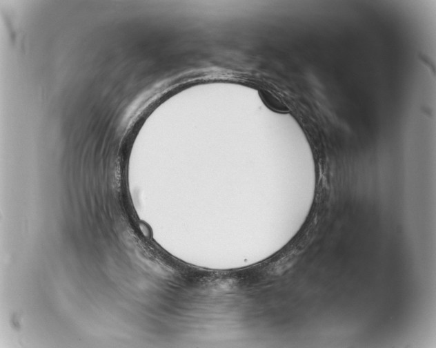 X0000103470247200810100942