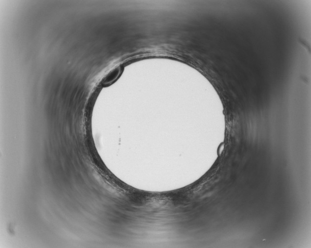 X0000103470248200810100942