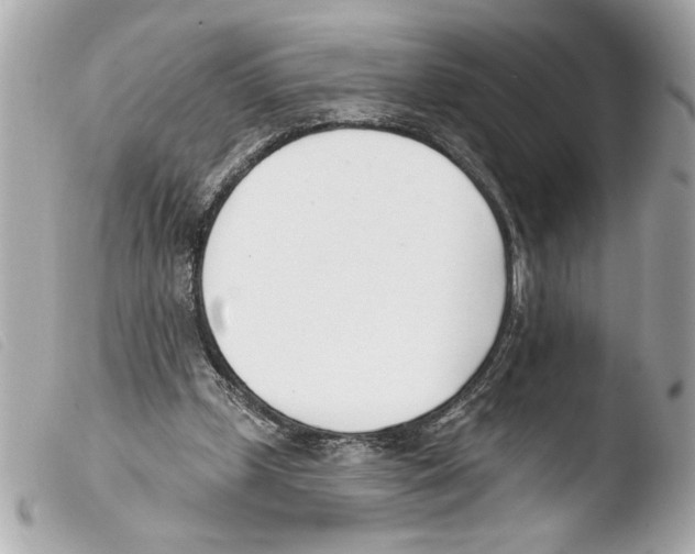 X0000103470249200810100942