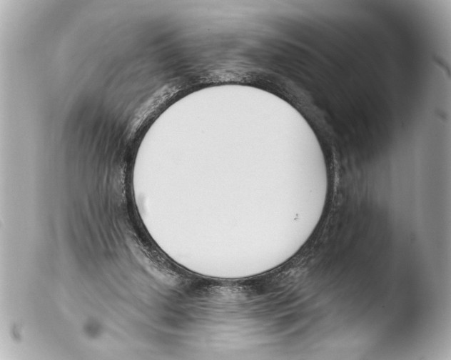 X0000103470250200810100942