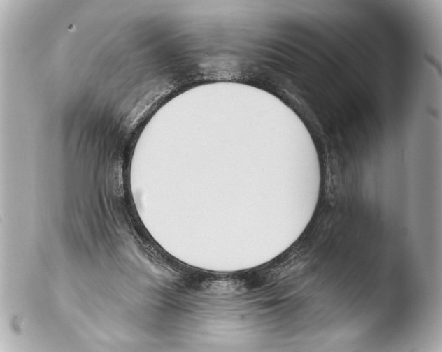 X0000103470251200810100942