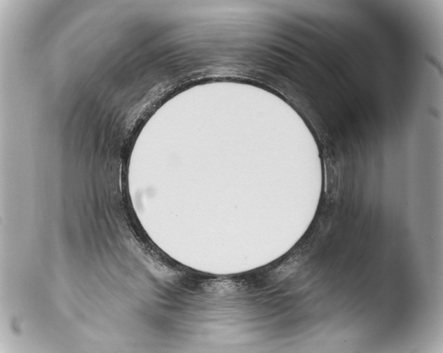 X0000103470253200810100942