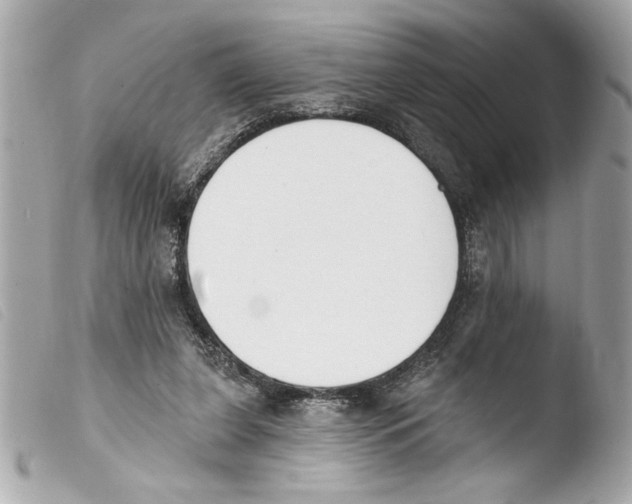 X0000103470255200810100942
