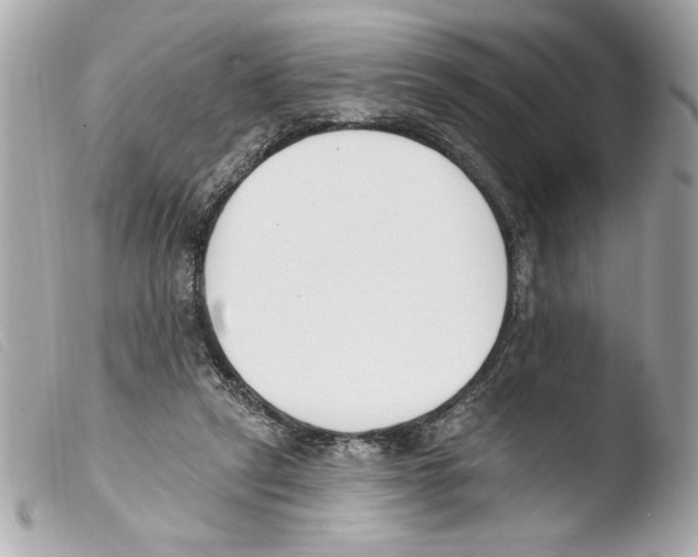 X0000103470257200810100942