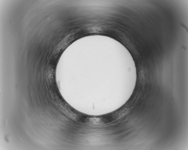 X0000103470265200810100942