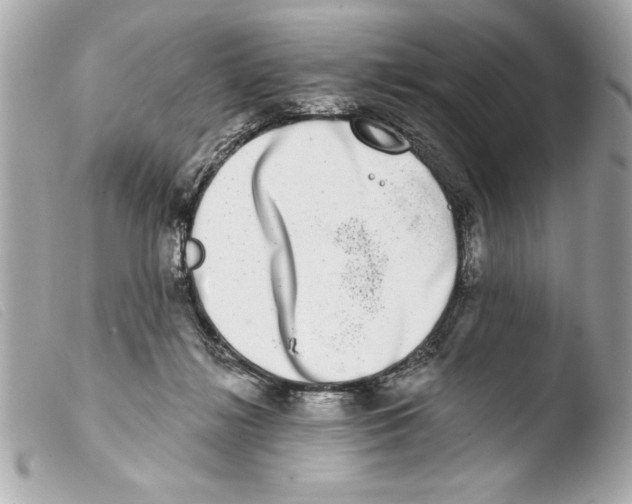 X0000103470268200810100942