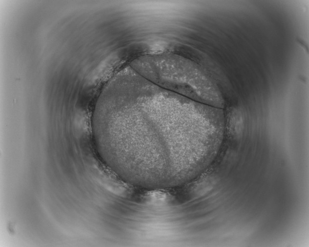 X0000103470272200810100942