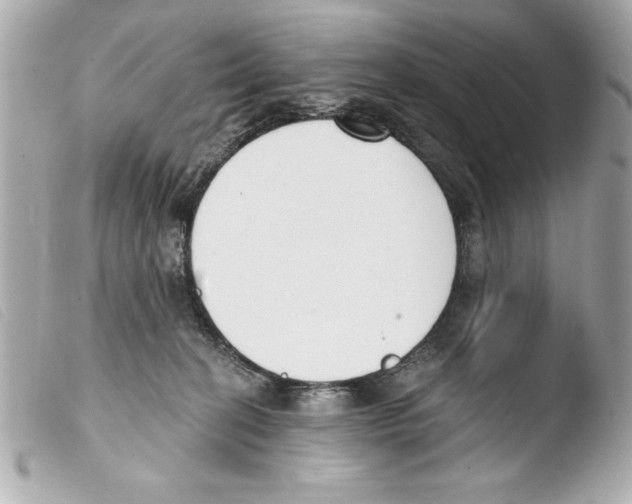 X0000103470274200810100942
