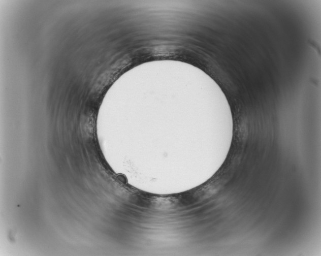 X0000103470277200810100942