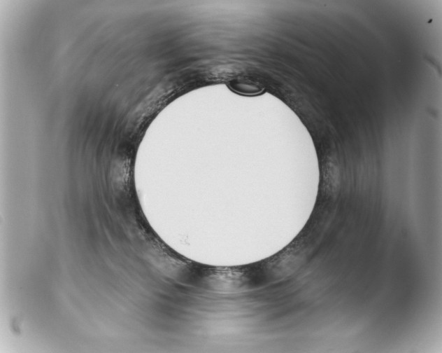 X0000103470278200810100942