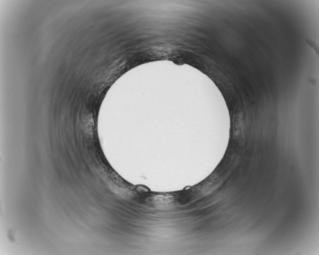 X0000103470279200810100942
