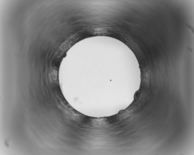 X0000103470281200810100942