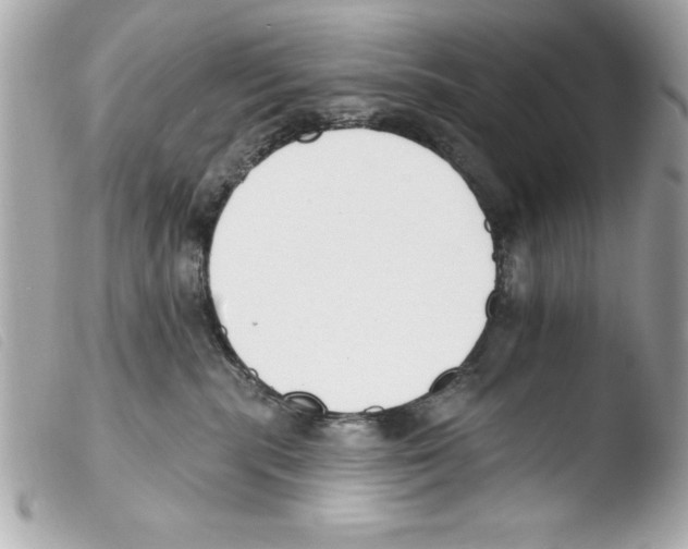 X0000103470283200810100942
