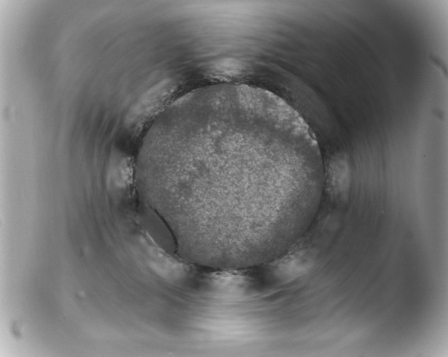 X0000103470284200810100942