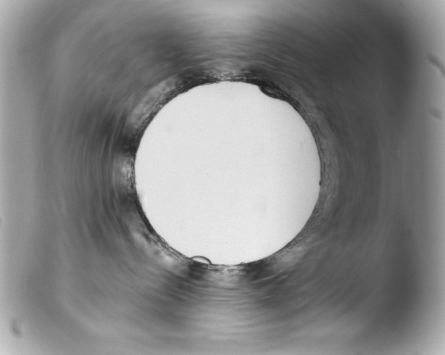 X0000103470288200810100942
