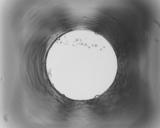 X0000103470289200810100942