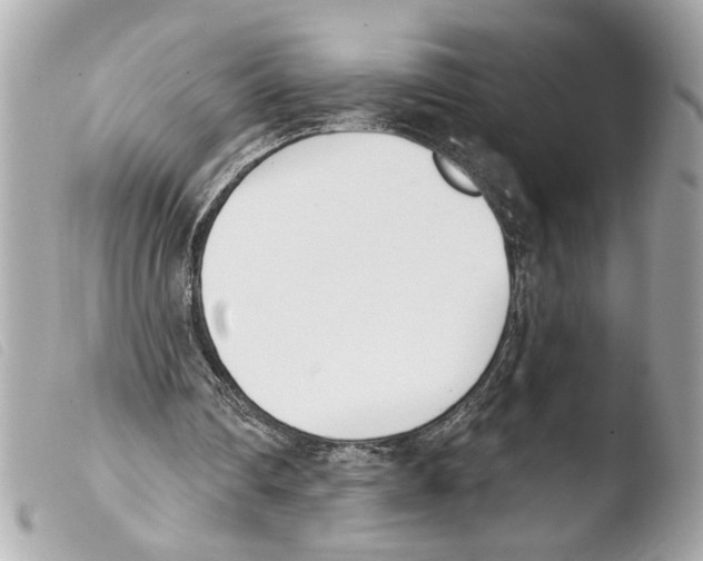X0000103470290200810100942