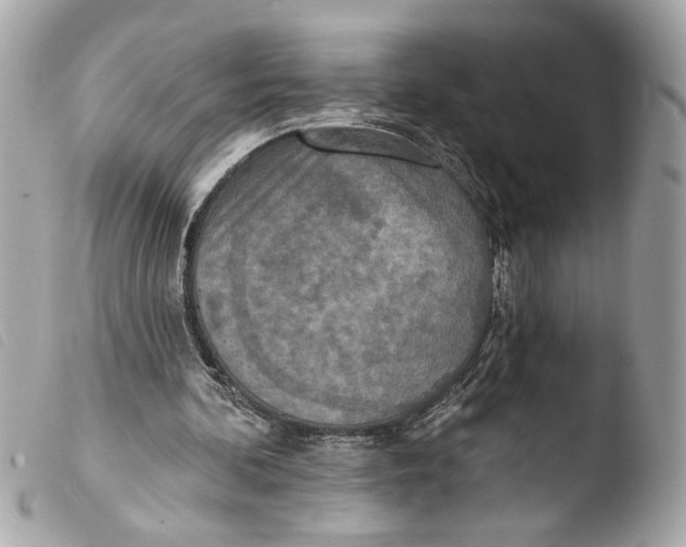 X0000103470292200810100941