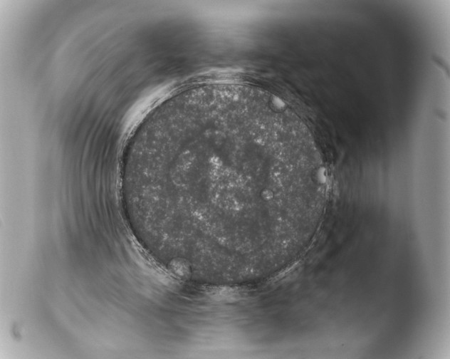 X0000103470293200810100941