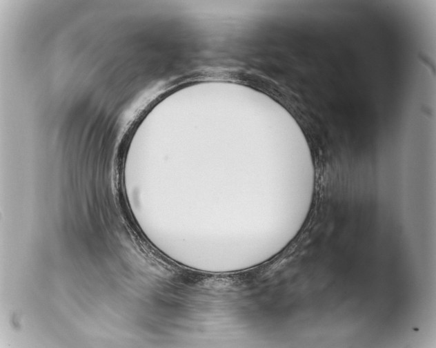 X0000103470294200810100941