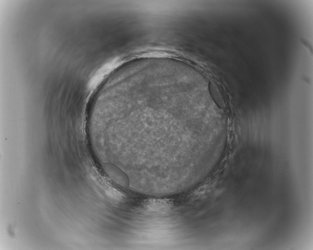 X0000103470296200810100941