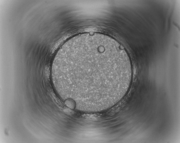 X0000103470297200810100941