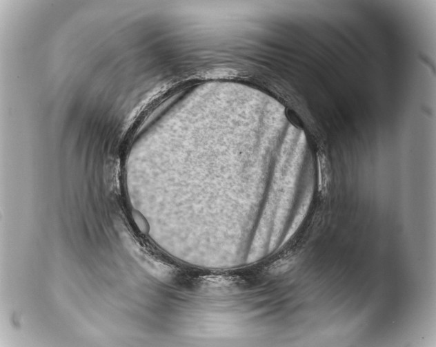 X0000103470300200810100941