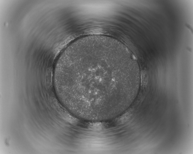 X0000103470301200810100941