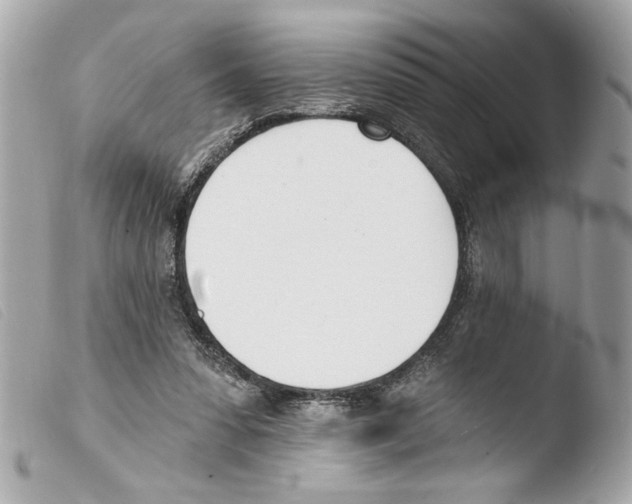 X0000103470303200810100941