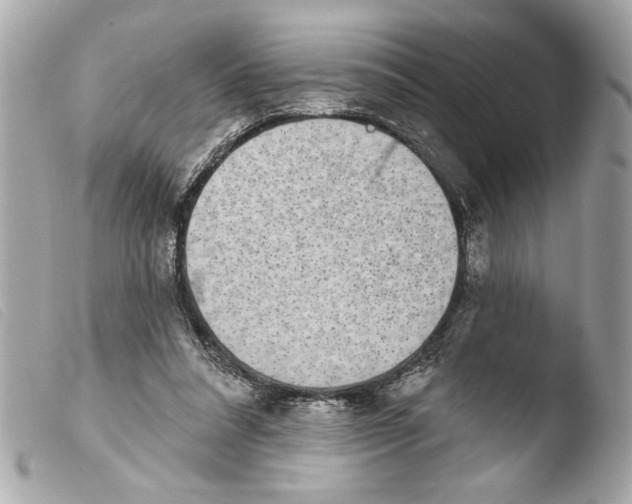 X0000103470304200810100941