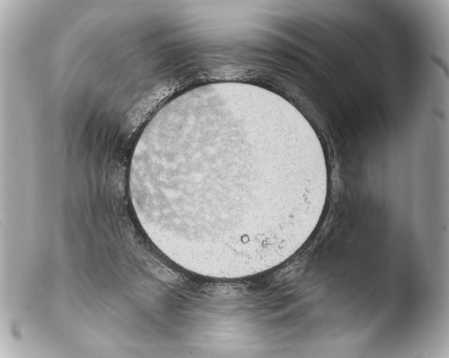 X0000103470305200810100941