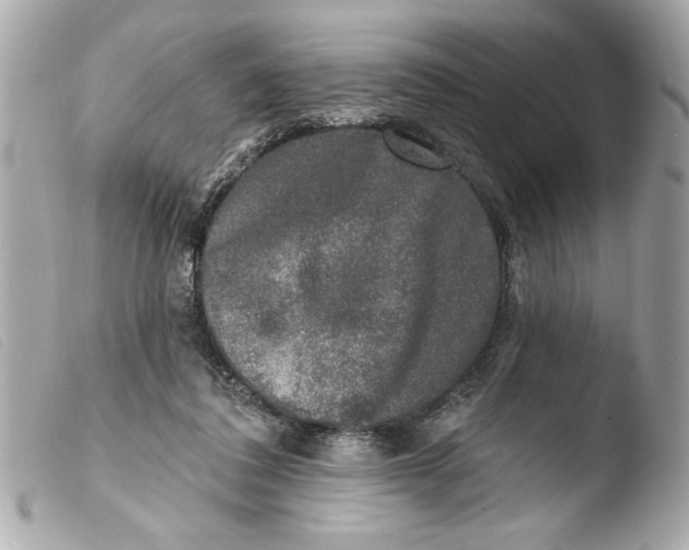 X0000103470308200810100941