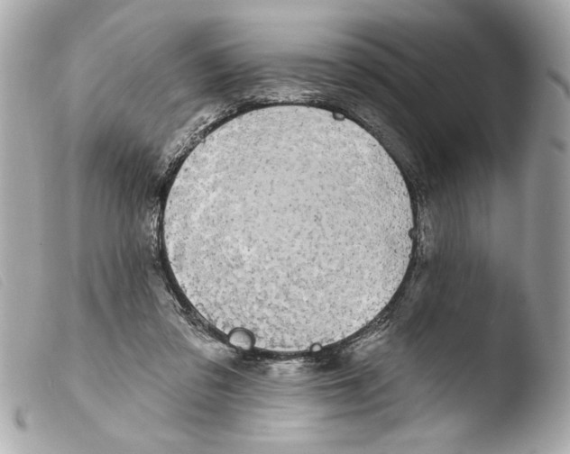 X0000103470309200810100941