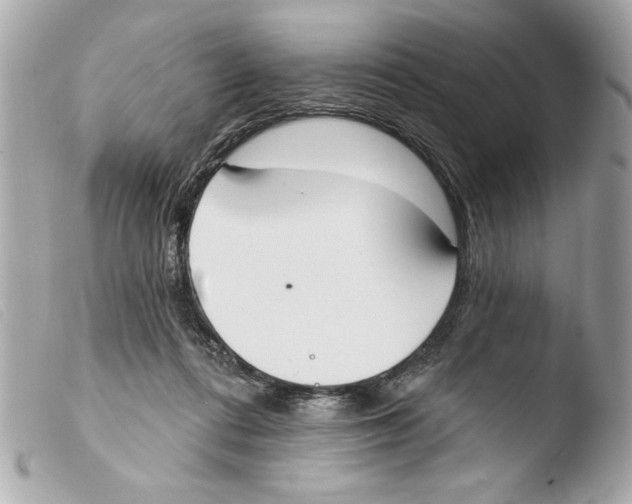 X0000103470312200810100941