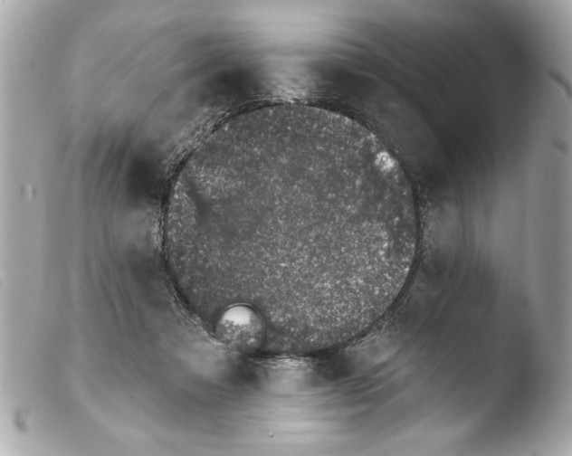 X0000103470313200810100941