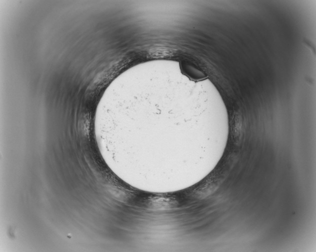 X0000103470315200810100941