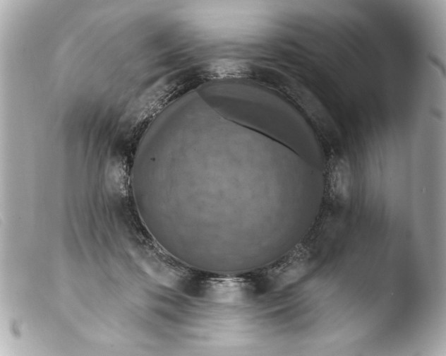 X0000103470316200810100941