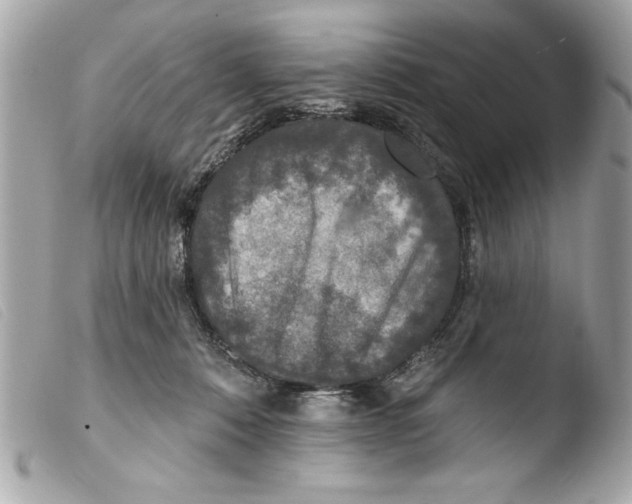 X0000103470320200810100941
