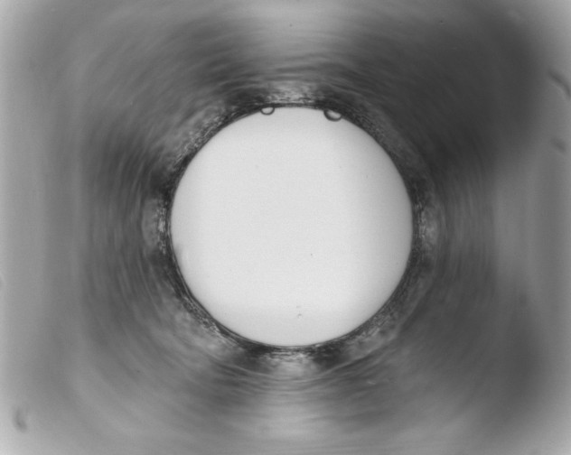 X0000103470322200810100941