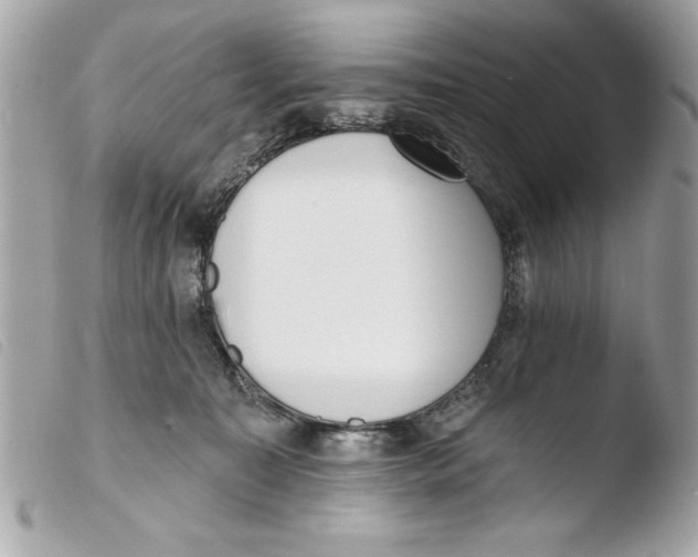 X0000103470323200810100941