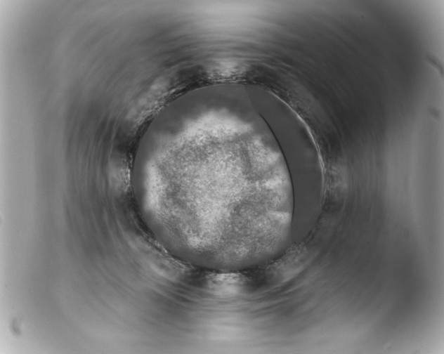 X0000103470324200810100941